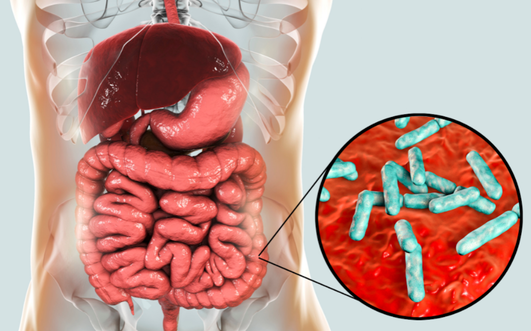 Microbiota intestinal e a sua saúde física e mental