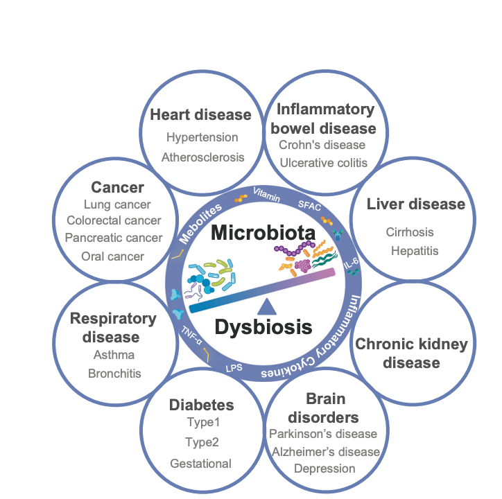 microbiota nature