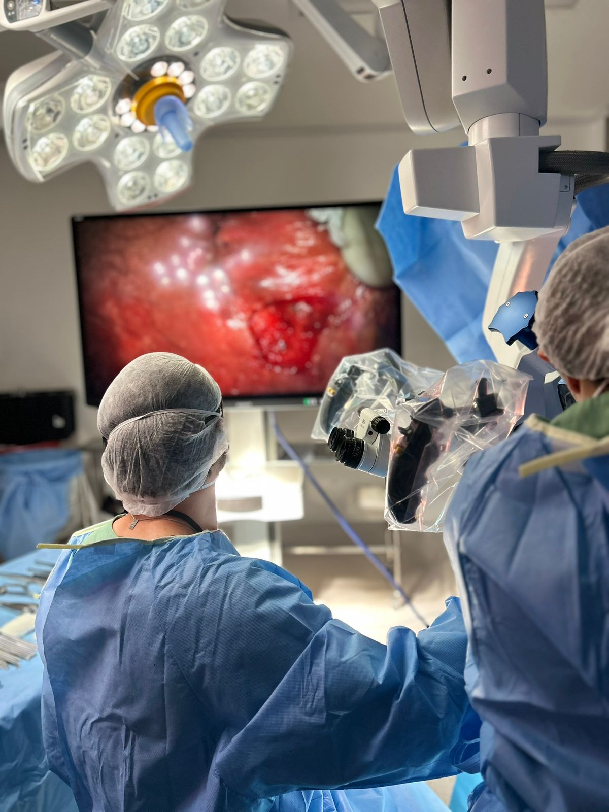 049003eb-105a-486d-9bde-b719f7f0b345 Microcirurgia a Laser