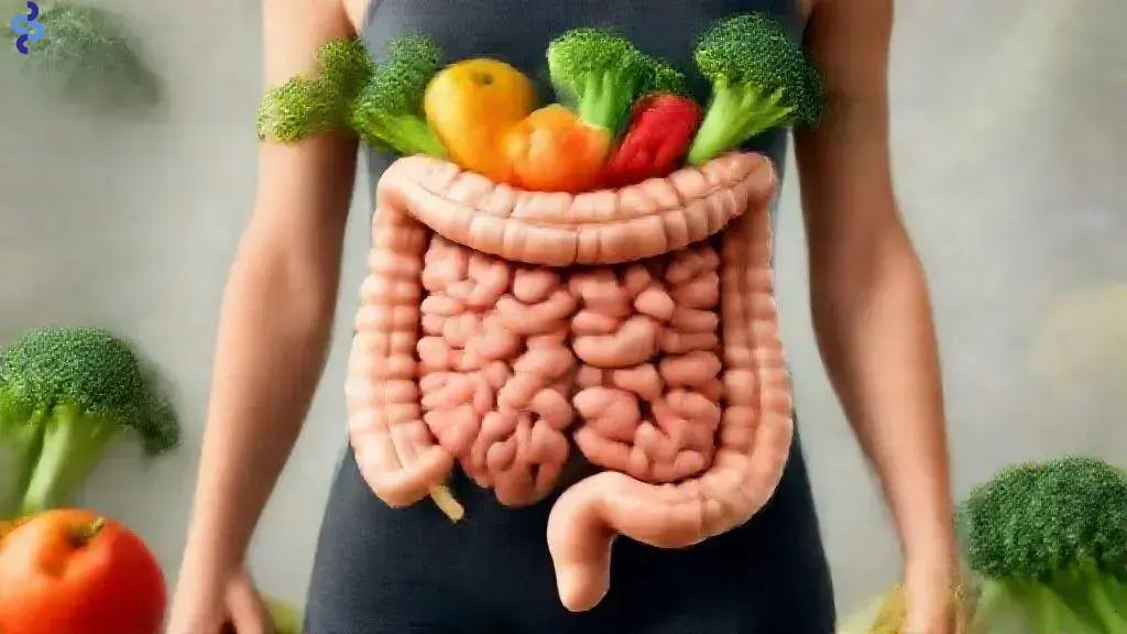 Saúde intestinal: como cuidar do seu bem-estar digestivo