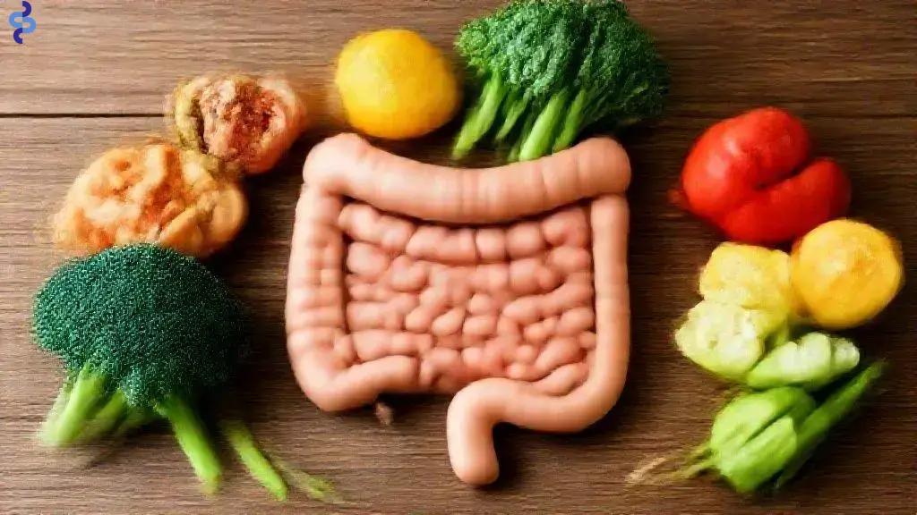 Saúde intestinal: Como garantir bem-estar e prevenir doenças